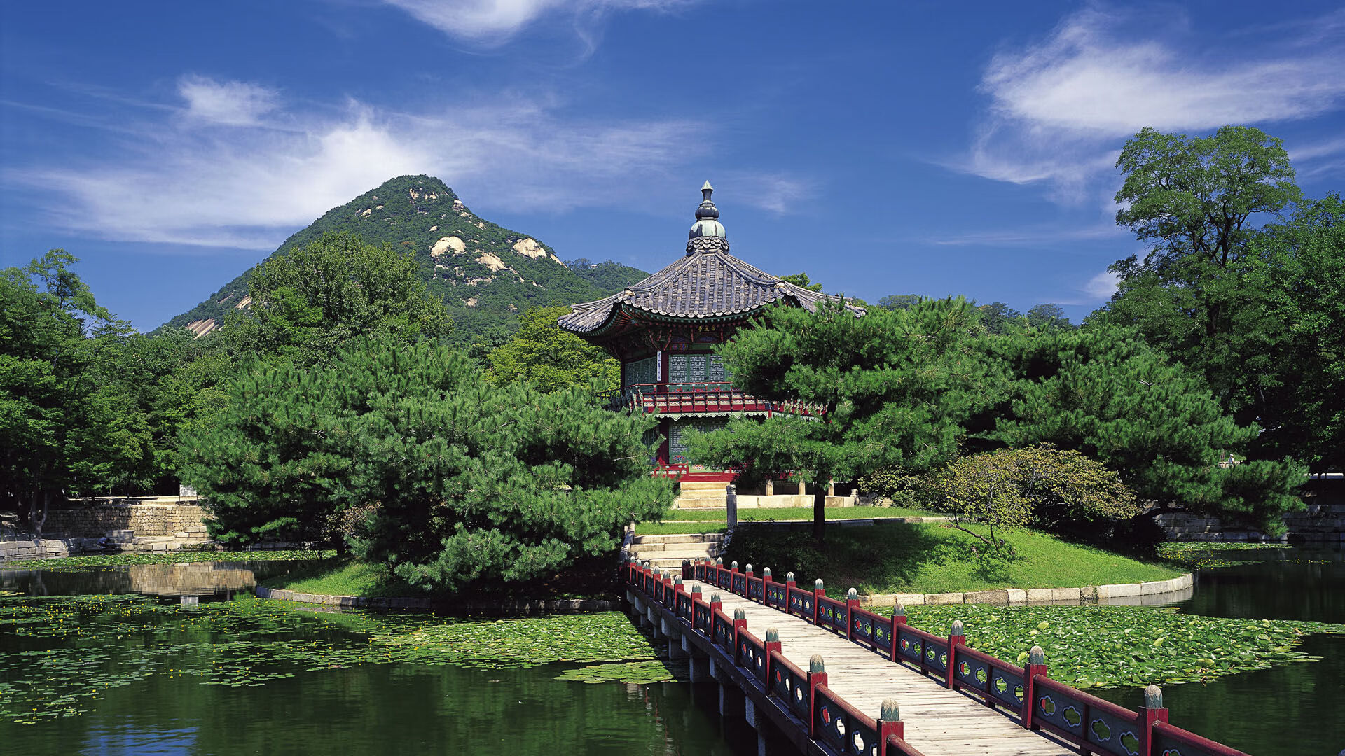 世界乒乓球青年赛晋级名单公示，世界乒乓球青年赛晋级名单公示及图片